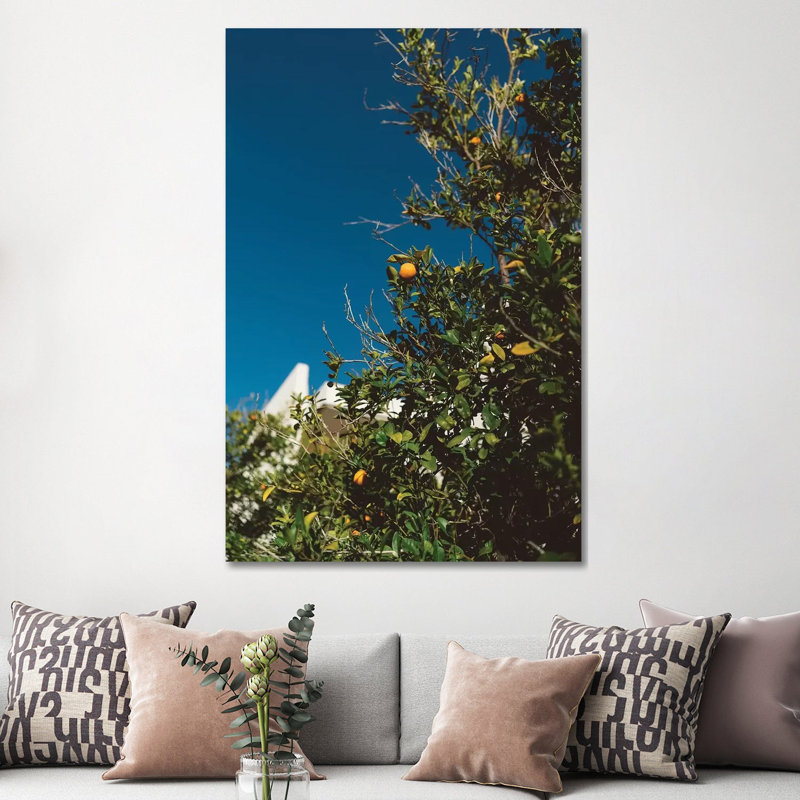 «California Orange Tree» par Bethany Young, reproduction de photo sur toile tendue, H 60 po x l 40po x P 1,5 po
