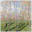 Claude Monet - Wrapped Canvas Painting-21210760