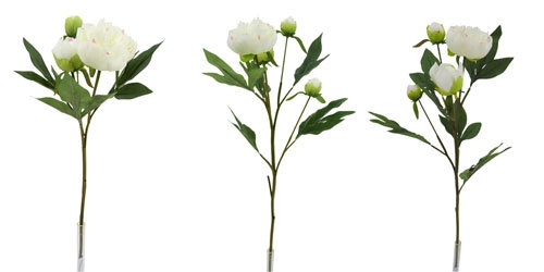 Artificial Cream Peony Stems