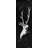 Deer Skull in the Dark - Gray Skull Framed Canvas Decor