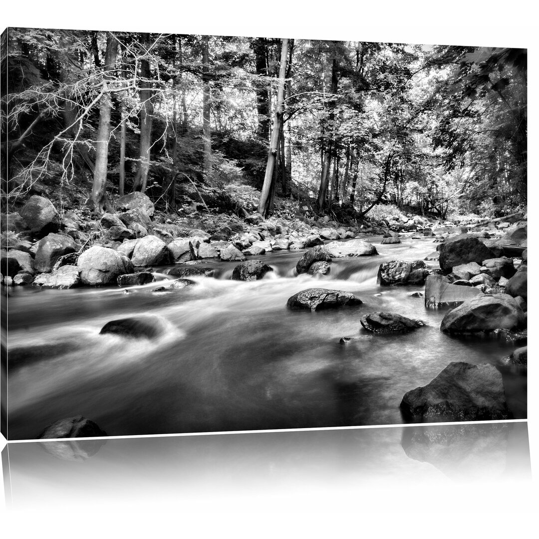 Leinwandbild Fluss mit Steinen in Monochrom