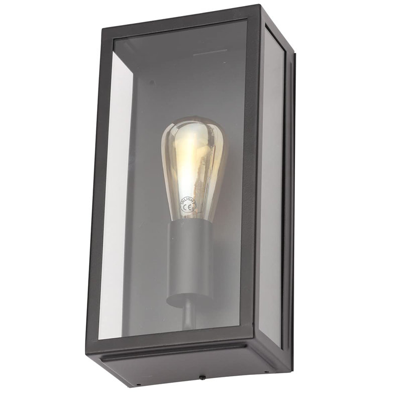 Faramarz Black Outdoor Wall Lantern