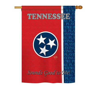 Double Sided Polyester House Flag