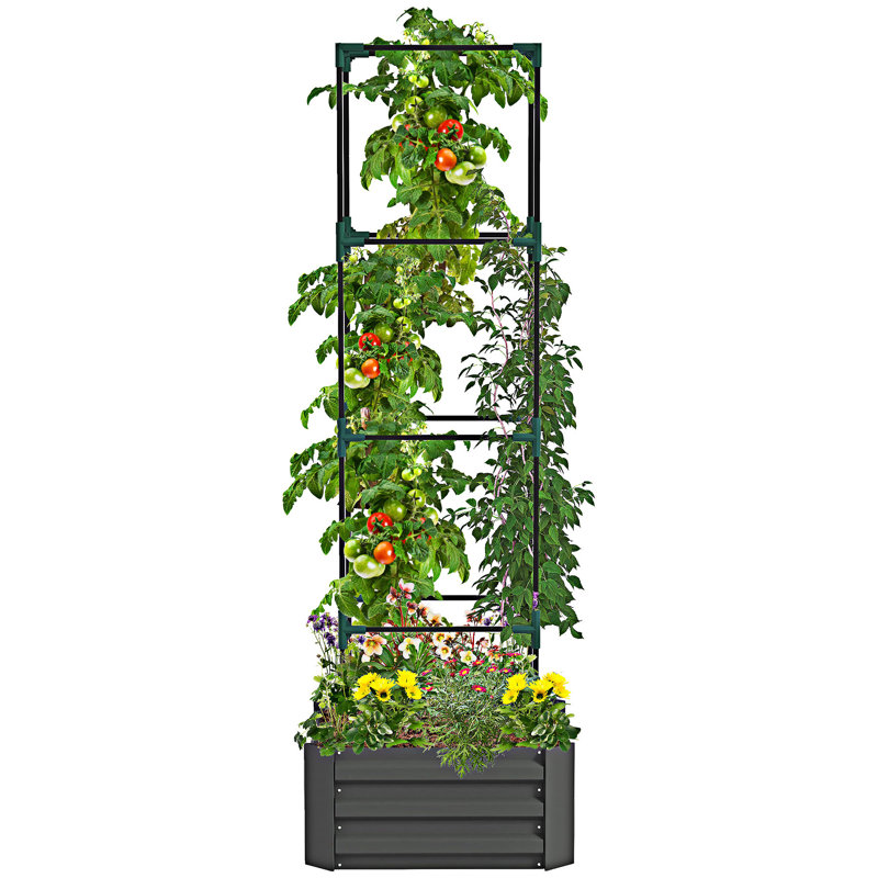 Outdoor Planter Box Raised Garden Bed With Trellis Tomato Cage And Open Bottom, Gray