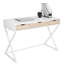 Espiridion Steel Writing Desk