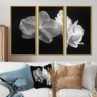 Ensemble de salon Roddy - Orchids Wall Art