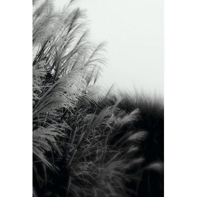 Photography/Landscape 182 - Wrapped Canvas Print