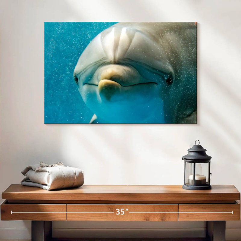 Brampt Nosy Dolphin, 16" H x 24" W