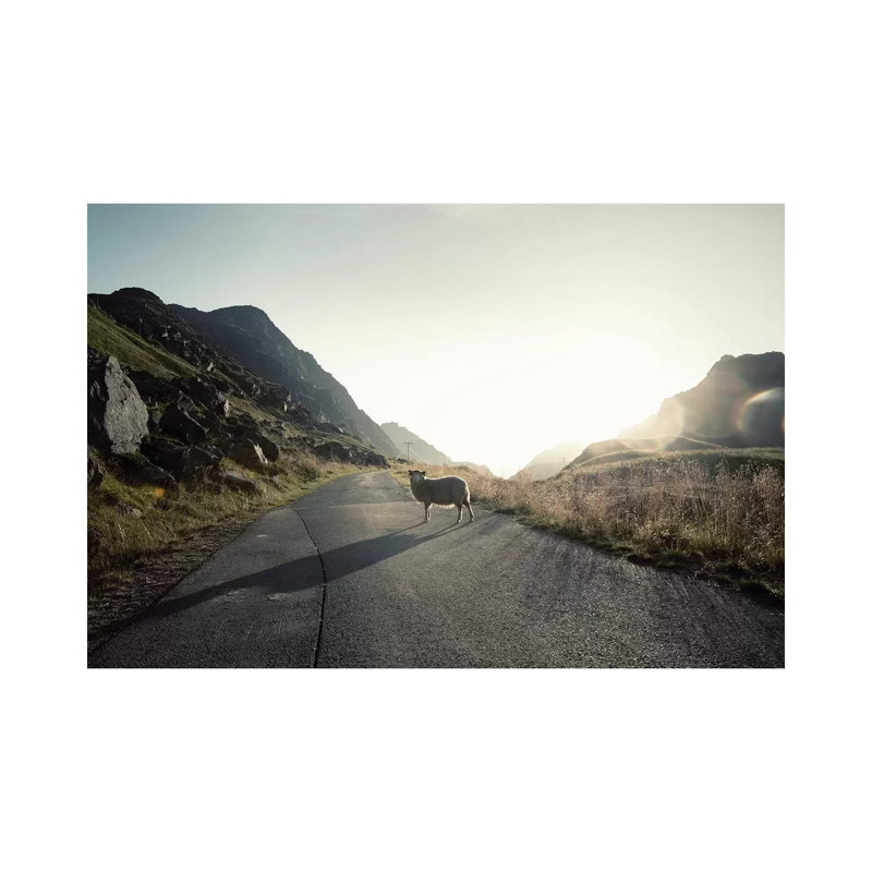 «The Pass Keeper» par Andreas Stridsberg - reproduction de photo sur toile tendue, H 26 po x l 40 po x P 1,5 po