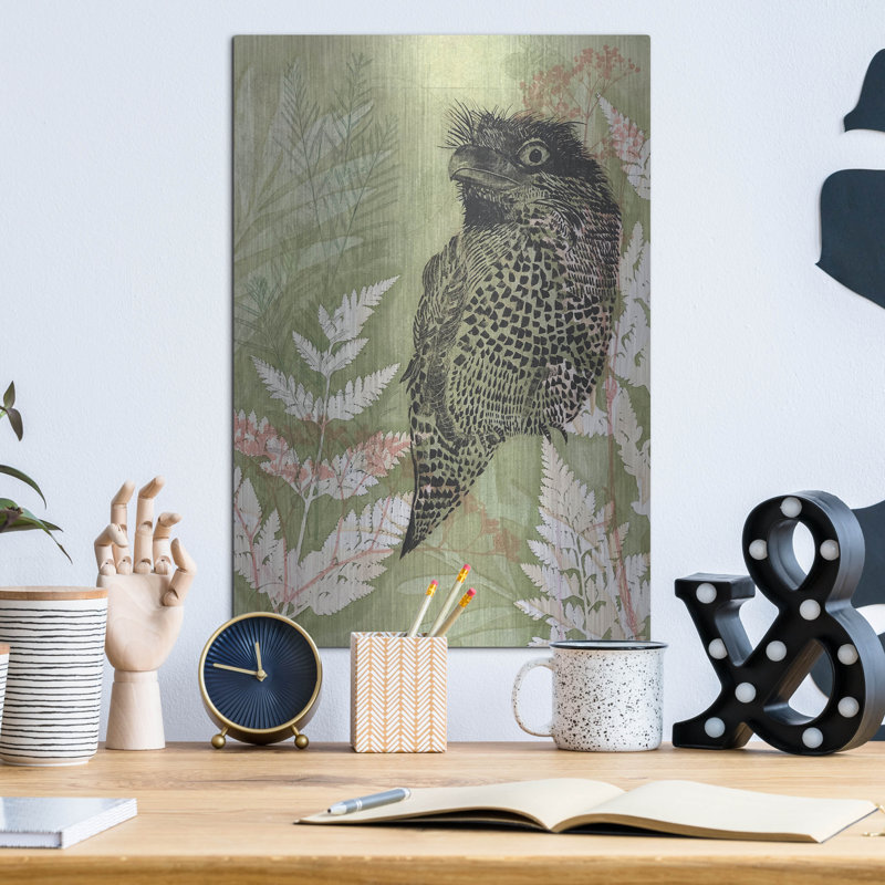 «Tawny Frog Mouth» par trudy riz, H 16 po x l 12 po