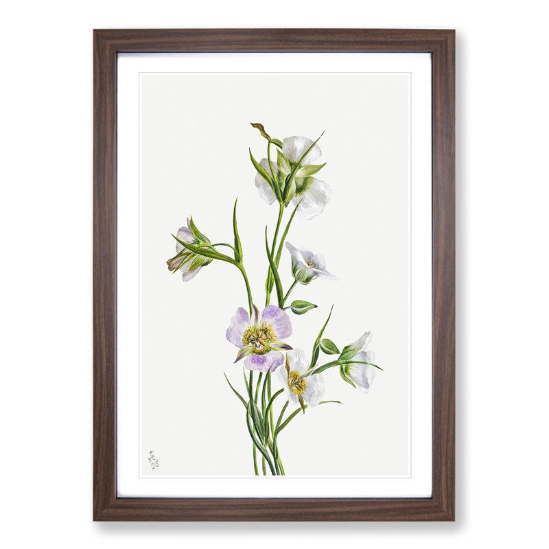 On the Road to Monument by Mary Vaux Walcott - Framed Print, 36cm H x 27cm W x 2cm D, Walnut Framed