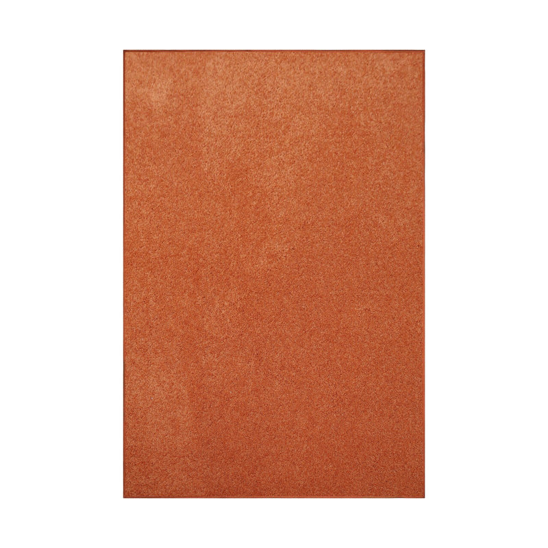 Modern Plush Pet and Kids Friendly Solid Color Area Rugs, Stain & Fade Resistance, Bedroom, Playroom and Kidsroom, Event, Wedding, Perfect for Living Room, Dining Room, Orange Mentzer Rug