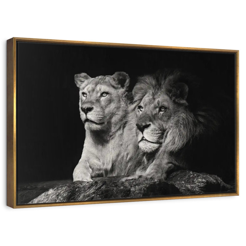 Lion et compagnons de lionne, Cadre flottant doré, 40 po x 27 po