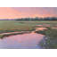 Peaceful Marsh Print by Diana Johnson