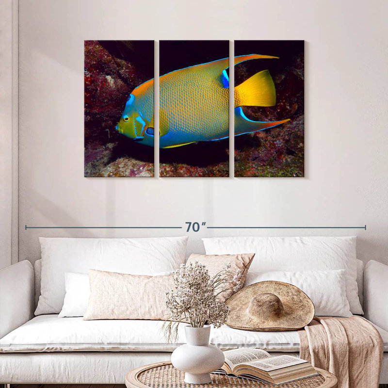 Brampt Glowing Queen Angelfish, 28" H x 45" W