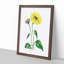 Trumpet Stalked Sunflowers - Framed Print-55642232-55642234