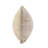 Stella  LPET R Blend Throw Pillow