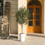 Adcock Artificial Olive Tree with Decorative Pot, UV Resistant Faux Olive Tree with Natural Trunk-700034061-700034060
