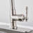 FURUISI Pull Down Kitchen Faucet-100865072