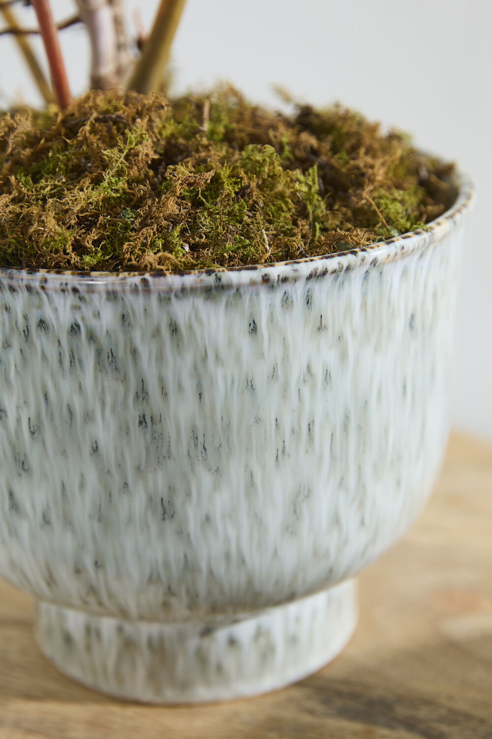 Hayden Pot, 7" H x 8.25" W x 8.25" D