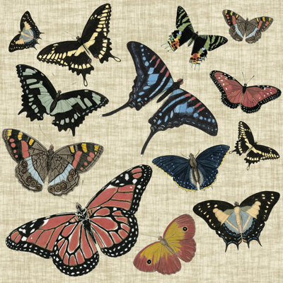 Papillons et lin I