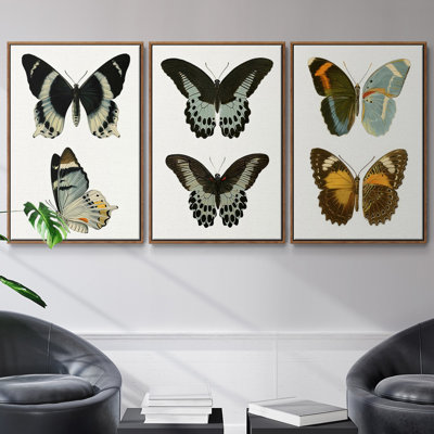 Ensemble de 3 papillons bleus antiques I encadrés sur toile