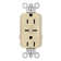 radiant 15A Tamper-Resistant with Ultra-Fast 6.0A USB Type C/C Outlet