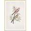 Nesting Navigators Ivory 4 Print-1584710612