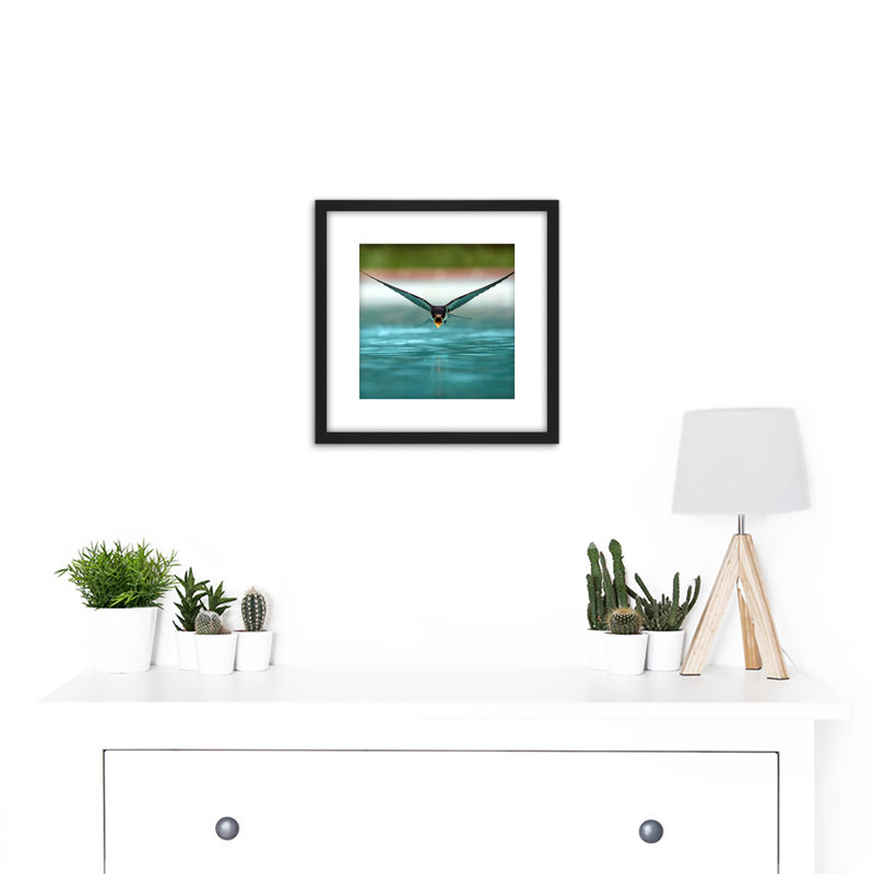 Sanchezn Swallow Bird Drinking Swimming Pool - Single Picture Frame Painting