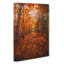 Autumn Forest Pathway in Abstract - Wrapped Canvas-55367687