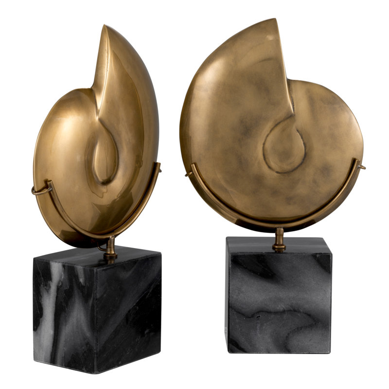 Ammonite Object Decor