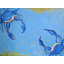 Blue Crabs Print by Phyllis Adams-64401830