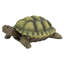 Statue de Gilbert, la tortue-boîte