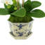 Orchid Faux Floral in Pot
