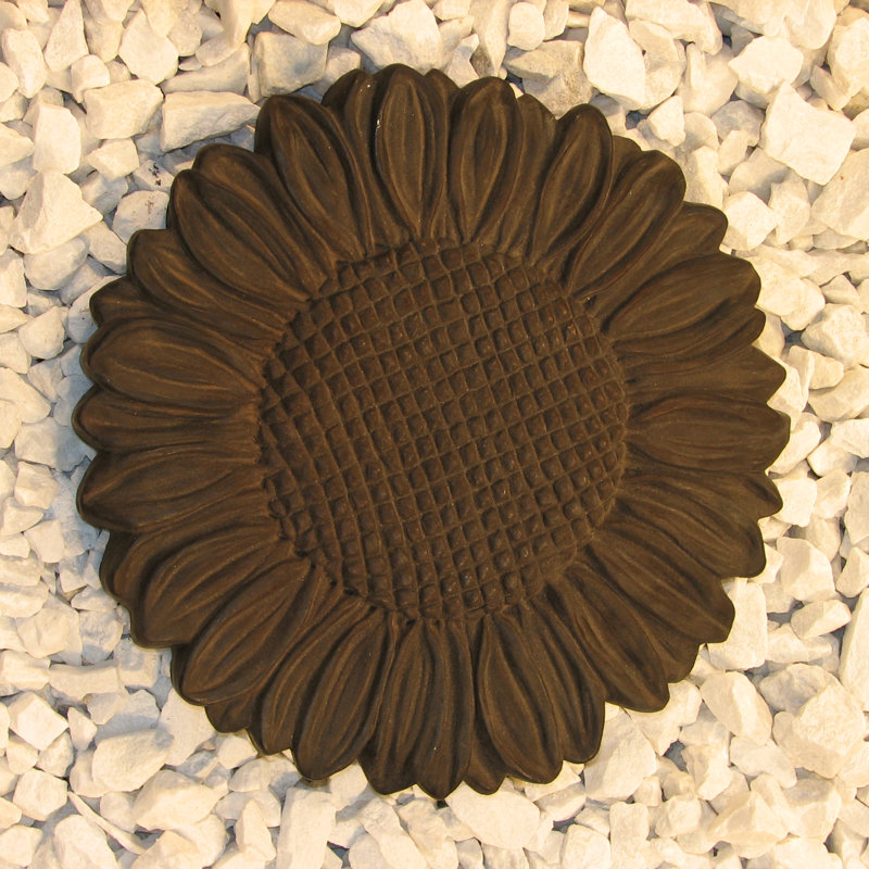 Tremplin tournesol, Noyer foncé