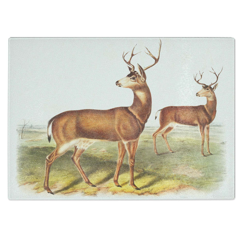 Tempered Glass Columbian Tailed Deer Chopping Board, 28.5 cm W x 20 cm L