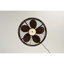 Ventilateur de plafond d'extérieur de 20 po avec télécommande. Avec lumière, 5 pales en ABS ABS, moteur à courant continu silencieux à 6 vitesses, ventilateur de plafond réversible à hauteur réglable (3 pièces), pour une utilisation extérieure - ampoules incluses (noir mat)