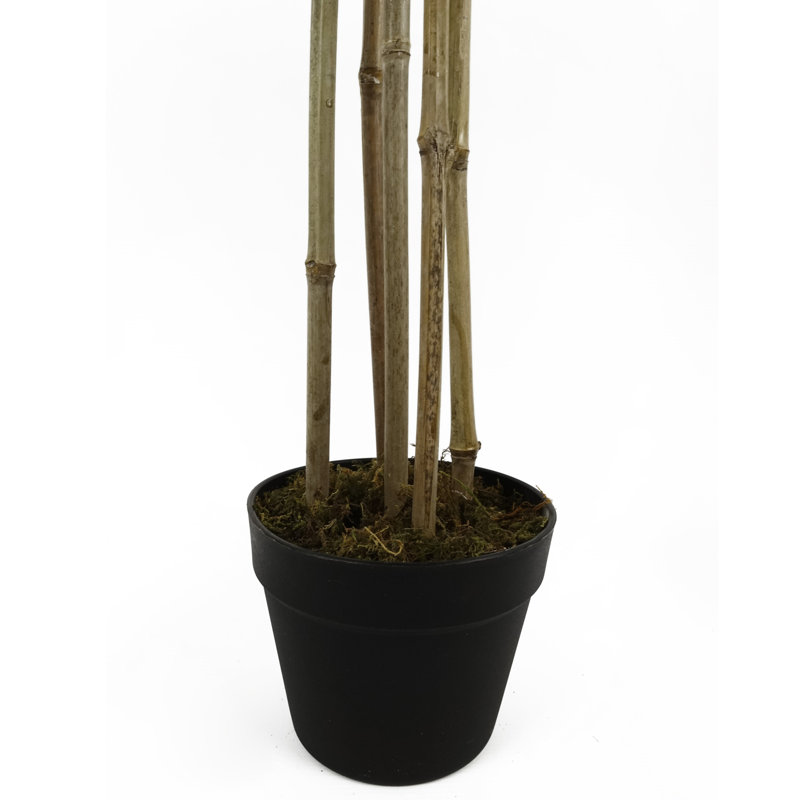 Anlin 160cm Faux Bamboo Tree in Pot