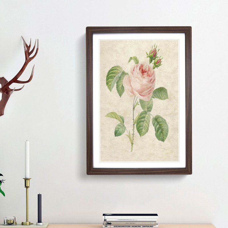 Shrub Rose in Pink by Pierre-Joseph Redoute - Picture Frame Painting Print, Walnut Framed, 36cm H x 27cm W x 2cm D