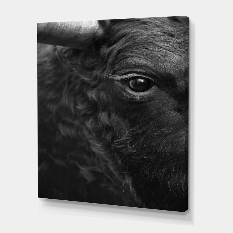 Détail de l'œil d'un taureau - photographie sur toile, H 20 po x l 12 po x P 1po, Toile tendue