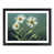 Black Framed selected