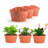 Wall Planter-1505610638