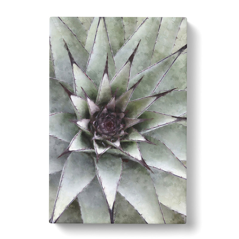 The Succulent Plant - Wrapped Canvas Painting, 50cm H x 35cm W x 3cm D