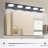 Vanity Light Fixture LED