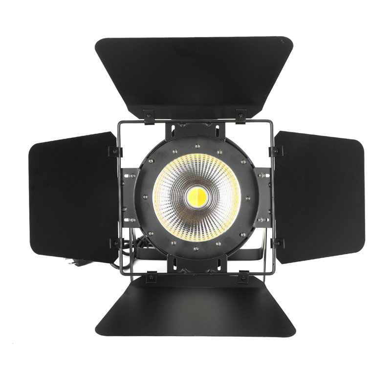 200W LED Stage Par Light
