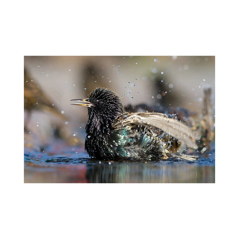 Bath Time by Mateusz Piesiak - Wrapped Canvas Print, 20.32 cm H x 30.48 cm W