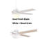 Ceiling Fan-481369665