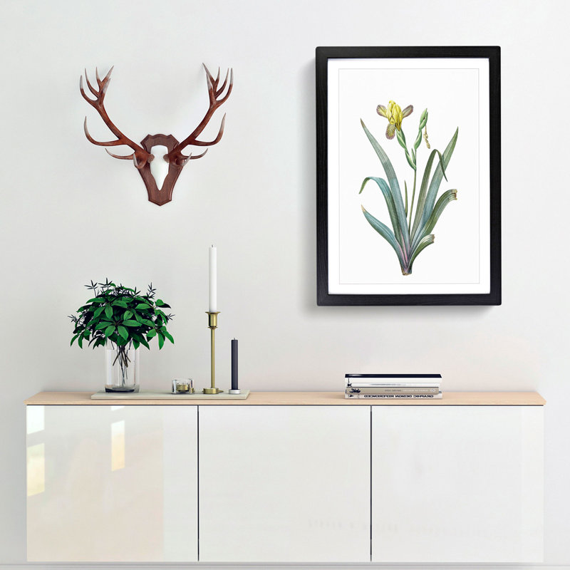 Hungarian Iris Flowers by Pierre-Joseph Redoute - Framed Print, 36cm H x 27cm W x 2cm D, Black Framed