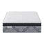 Passions Kelbrooke 16" Plush Euro Pillowtop Hybrid Mattress-222249182