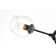 Jarno 8 - Light Dimmable Sputnik Modern Linear Chandelier